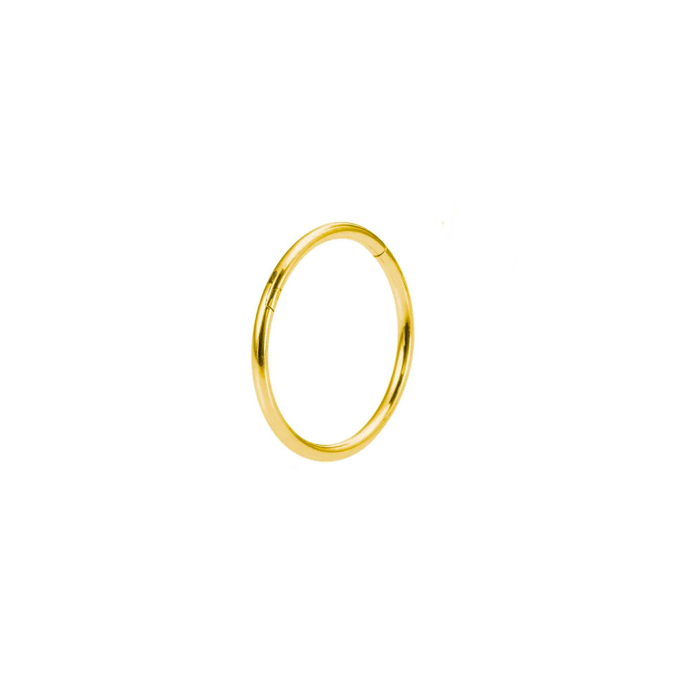 Piercing Segmentring, vergoldetes Titan