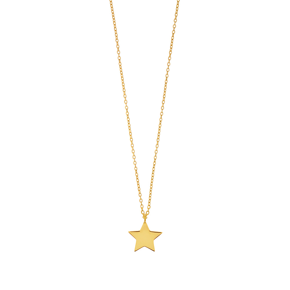 Halskette Star-Disc, matt, Gelbgold vergoldet Bild 2