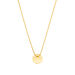Halskette Plate, 14 Karat Gelbgold