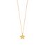 Halskette Star-Disc, matt, Gelbgold vergoldet