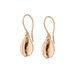 Ohrhnger Cowrie Shell, 18 K Rosegold vergoldet