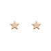 Ohrstecker MINI Stars, 14 Karat Rosegold