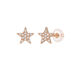 Ohrstecker Stern mit Diamanten, 14 Karat Rosegold