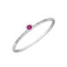 Ring Petite, Ruby, 14 Karat Weigold