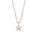 Halskette STAR, 14 K Rosegold Bild 3