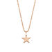 Halskette STAR, 14 Karat Rosegold Bild 3