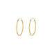 Creole Rund M, 30mm, 14 K Gelbgold Bild 3