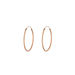 Creole Rund M, 30mm, 14 K Rosegold Bild 3