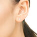 Ohrstecker Pav mit Diamanten, 18 Karat Gelbgold Bild 2