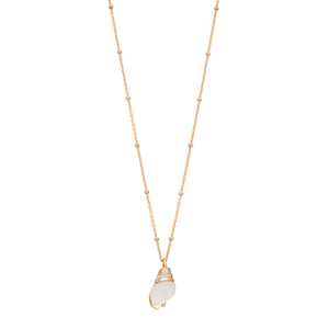 Halskette Canarium Sea Snail, 18 Karat Rosegold vergoldet