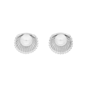 Ohrstecker Muschel mit Perle, 925 Sterlingsilber