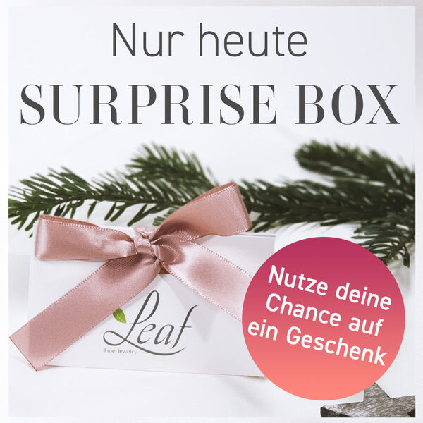 15. Dezember | Surprise Box