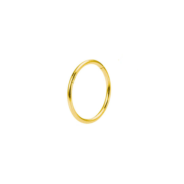 Piercing Segmentring, vergoldetes Titan