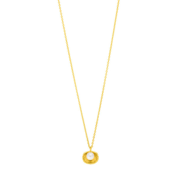 Halskette Muschel mit Perle, 18 K Gelbgold vergoldet Bild 4