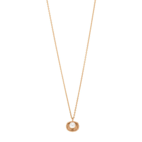 Halskette Muschel mit Perle, 18 K Rosegold vergoldet Bild 4