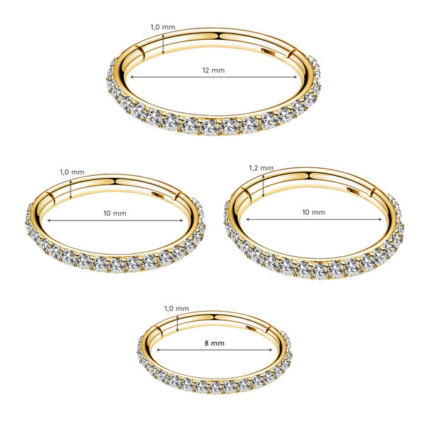 Piercing Segmentring mit Zirkonia, vergoldetes Titan Bild 4