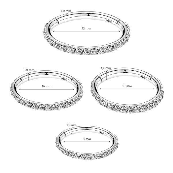 Piercing Segmentring mit Zirkonia, Titan Bild 4