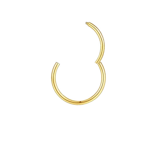 Piercing Segmentring, vergoldetes Titan Bild 2